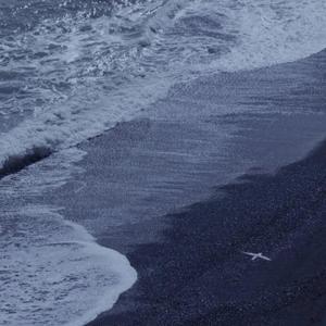 男人鸡鸡插入女人逼逼的视频
