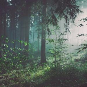 男人鸡鸡插入女人逼逼的视频
